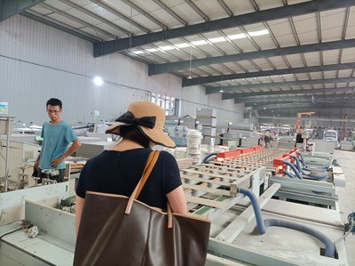 生物基可降解高分子木塑復合材料技術開發咨詢服務