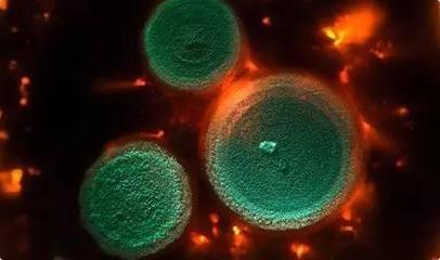 魏蔻蔻:一家年銷售額過(guò)百億歐元的公司是如何兼顧利潤(rùn)和環(huán)境的? - 今日頭條(TouTiao.org)