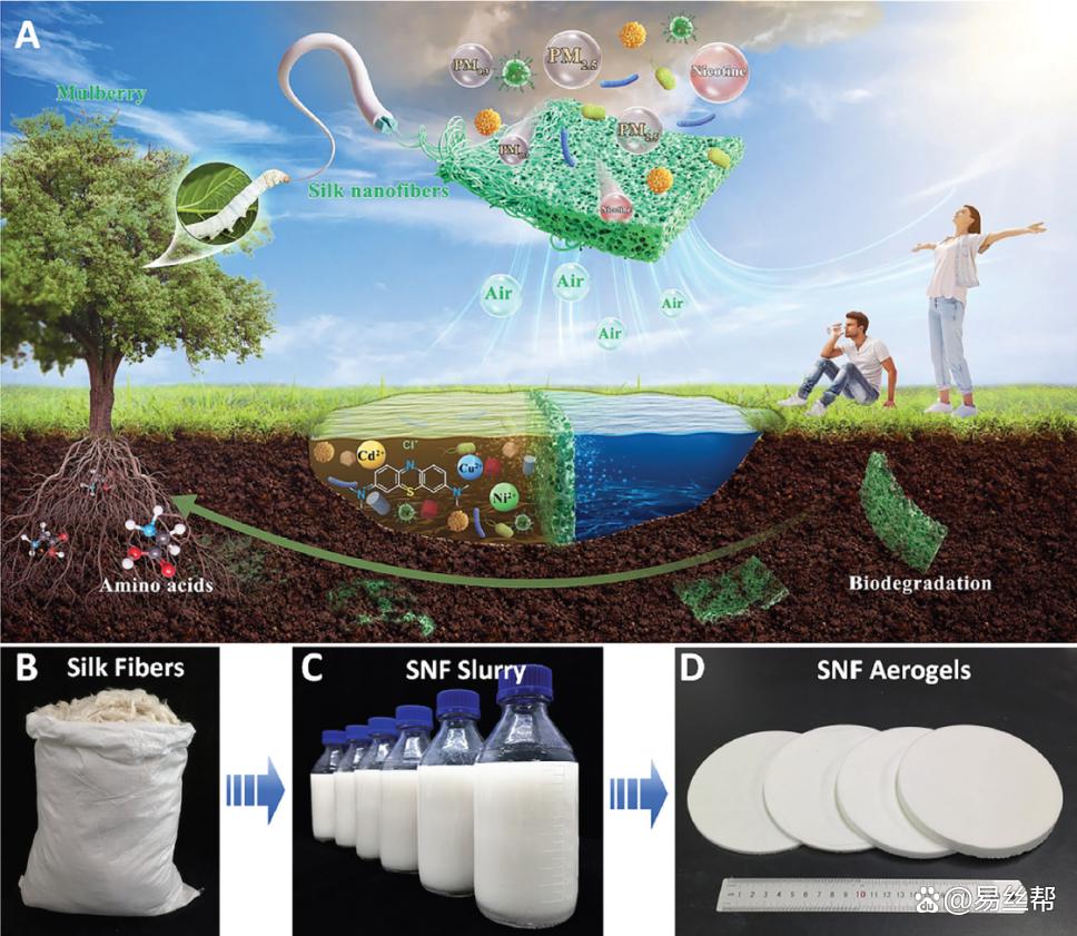 基于蠶絲納米纖維的多功能可生物降解化工產品技術研發
